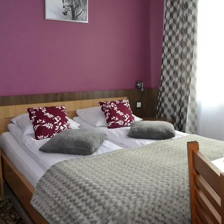 Апартаменты Comfort-24 *