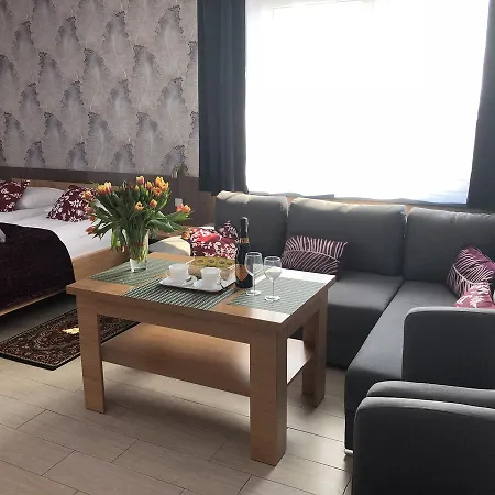 Comfort-24 דירה Słupca