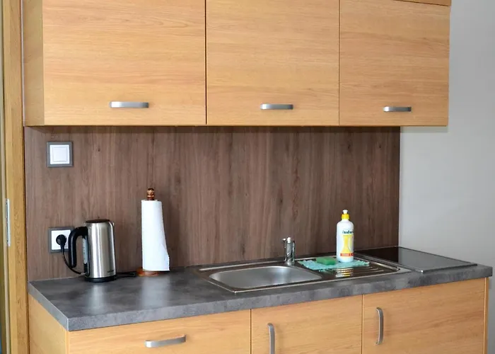 公寓 Comfort-24 Słupca